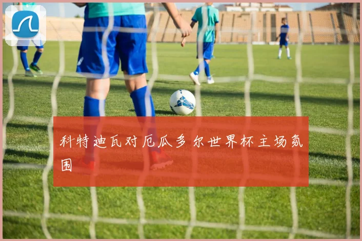 科特迪瓦对厄瓜多尔世界杯主场氛围