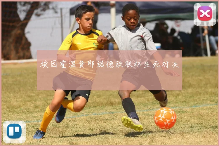 埃因霍温费耶诺德欧联杯生死对决
