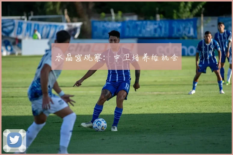 水晶宫观察:中卫培养给机会