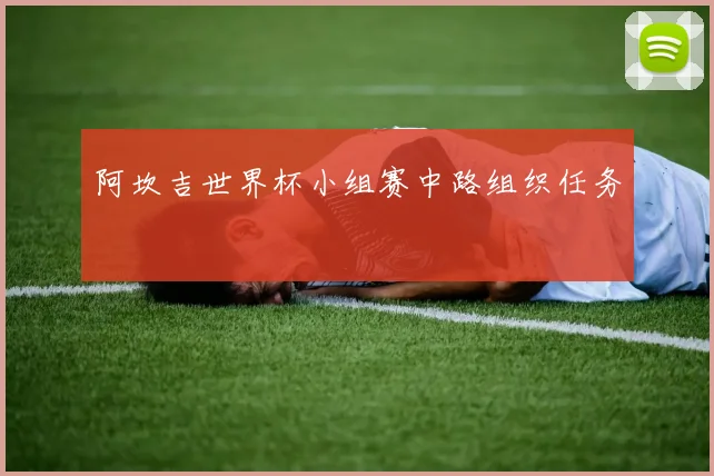 阿坎吉世界杯小组赛中路组织任务