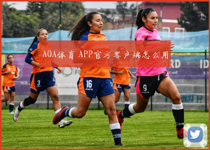 AOA体育 APP官方客户端怎么用